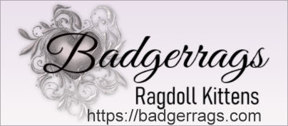 BadgerRags