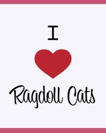 I Heart Ragdolls